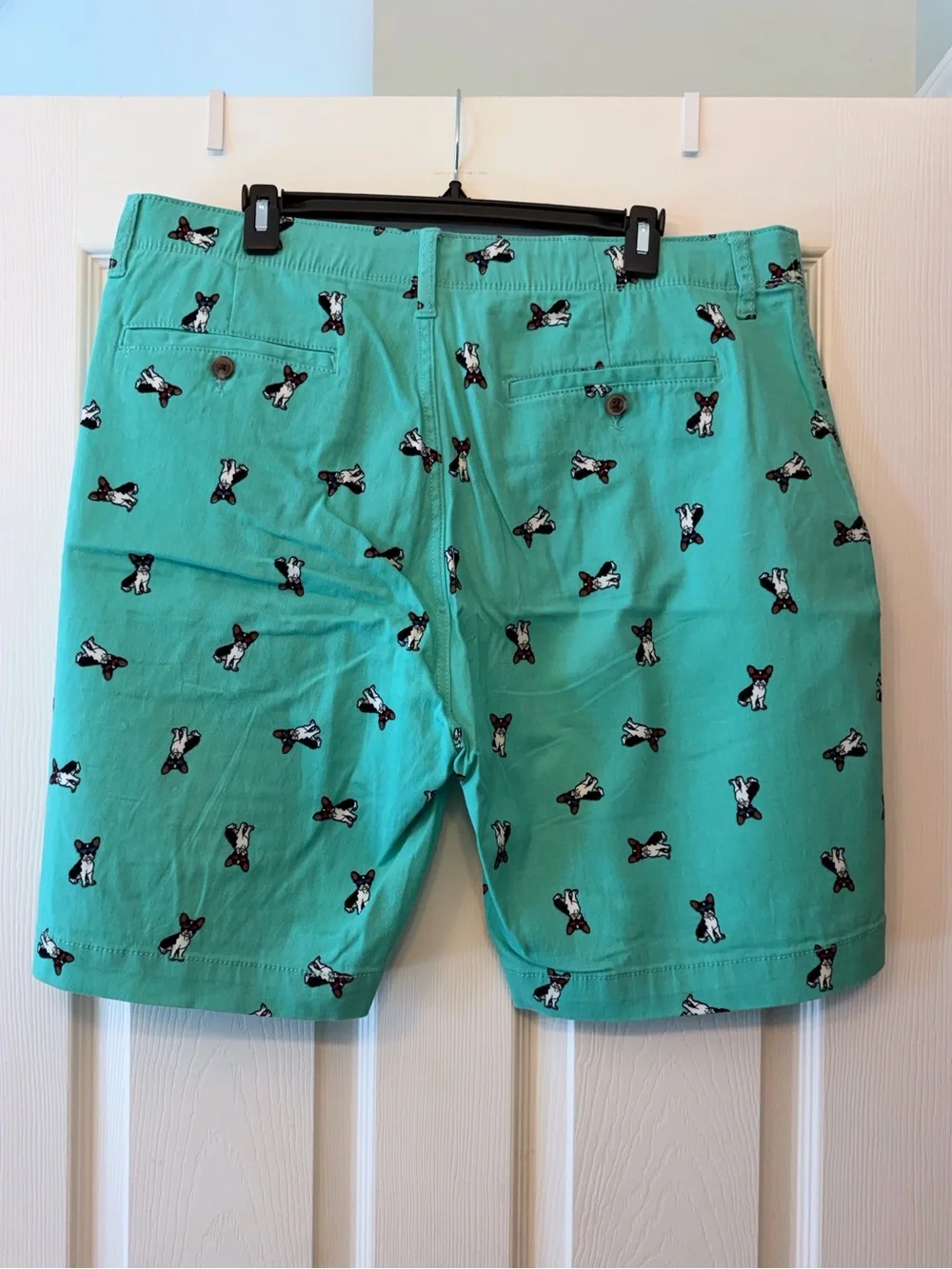 Plugg Men's Flex Waist Teal Shorts with Boston Terrier Dog Sunglasses